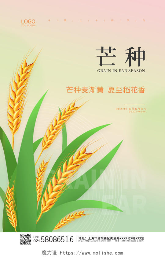 绿色简约大气小麦传统节气芒种宣传芒种海报